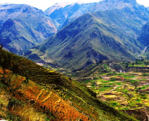 Peru wycieczka objazdowa. kanion Colca