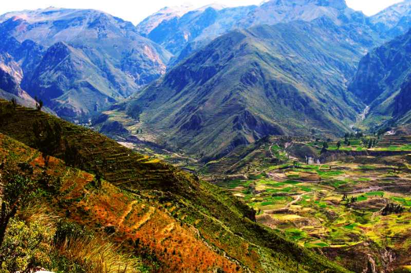Peru wycieczka objazdowa. kanion  Colca