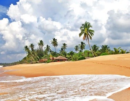 Sri Lanka wakacje promocje. SRI LANKA plaże