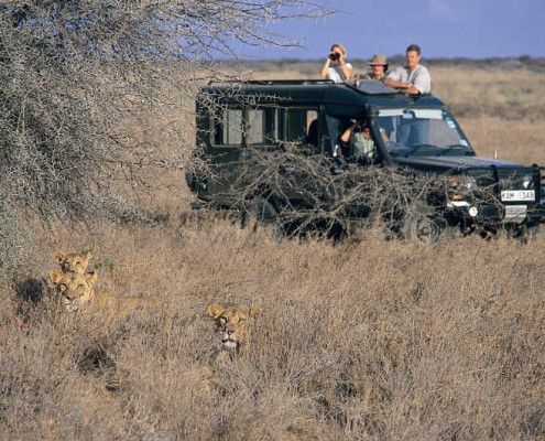 Tanzania atrakcje safari
