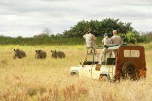 Kenia atrakcje safari