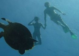 Wakacje Sri Lanka nurkowanie