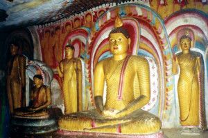 Sri Lanka wycieczka objazdowa indywidualna