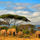 Tanzania wycieczka indywidualna