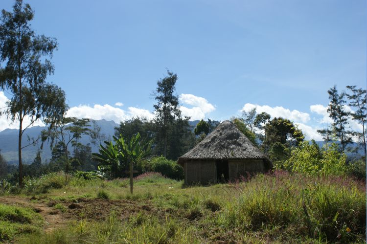 Papua Nowa Gwinea egzotyczne wakacje Przyroda