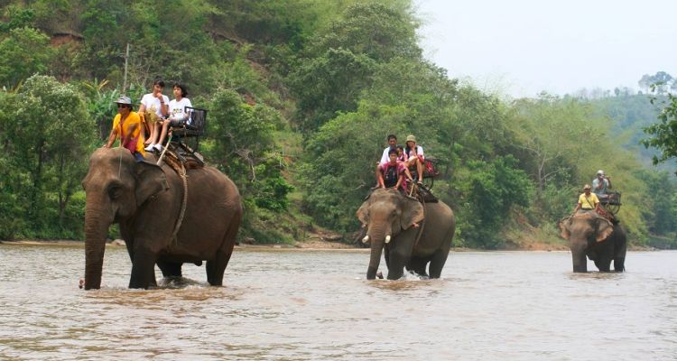 Tajlandia wycieczki slonie