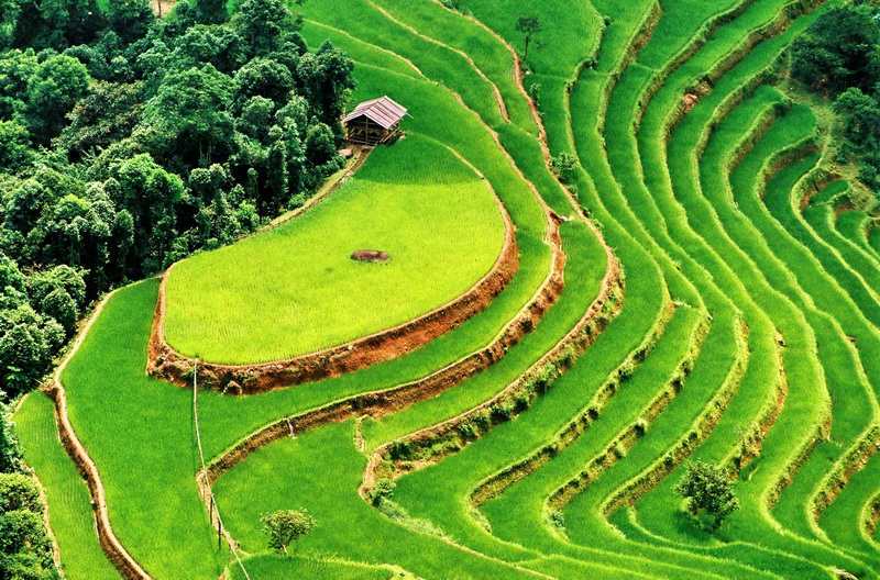 Wietnam atrakcje turystyczne SAPA pola ryżowe. Wycieczki objazdowe TOP TRAVEL