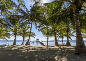 TOP TRAVEL Romantyczne wycieczki Ameryka Środkowa. Belize egzotyczne wakacje Hotel El Secreto.