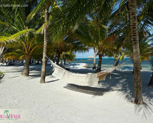 TOP TRAVEL Romantyczne Wycieczki Ameryka Środkowa. Belize egzotyczne wakacje Hotel Victoria