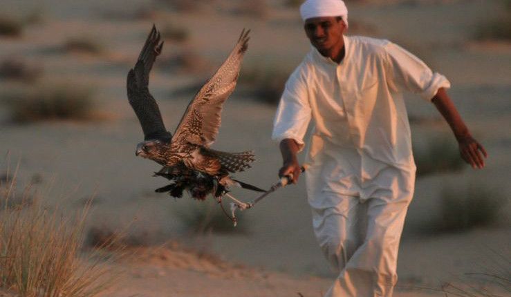 Emiraty Arabskie wycieczki pustynia