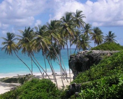Wczsasy Barbados wycieczki
