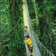 Kostaryka wycieczka monteverde mosty las tropikalny