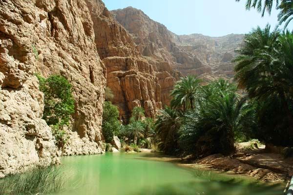 Oman atrakcje Wadi dolina oaza