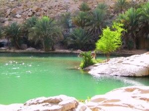Wycieczka Oman Wadi Bani Khalid